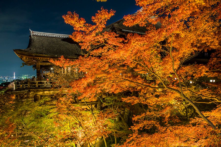 1557394134506308.jpg 23850482_1467851102718_mthumb.jpg