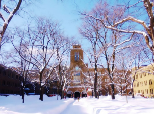 1591927881338897.png image.png